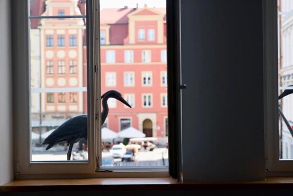 Grande Appartamento 100M2 Rynek 24H Self Check-In Вроцлав Экстерьер фото